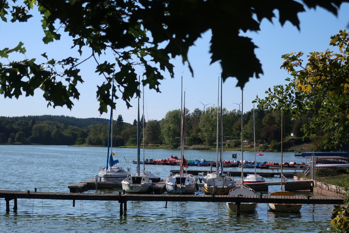 Segelboote am Steg des Losheimer Stausees