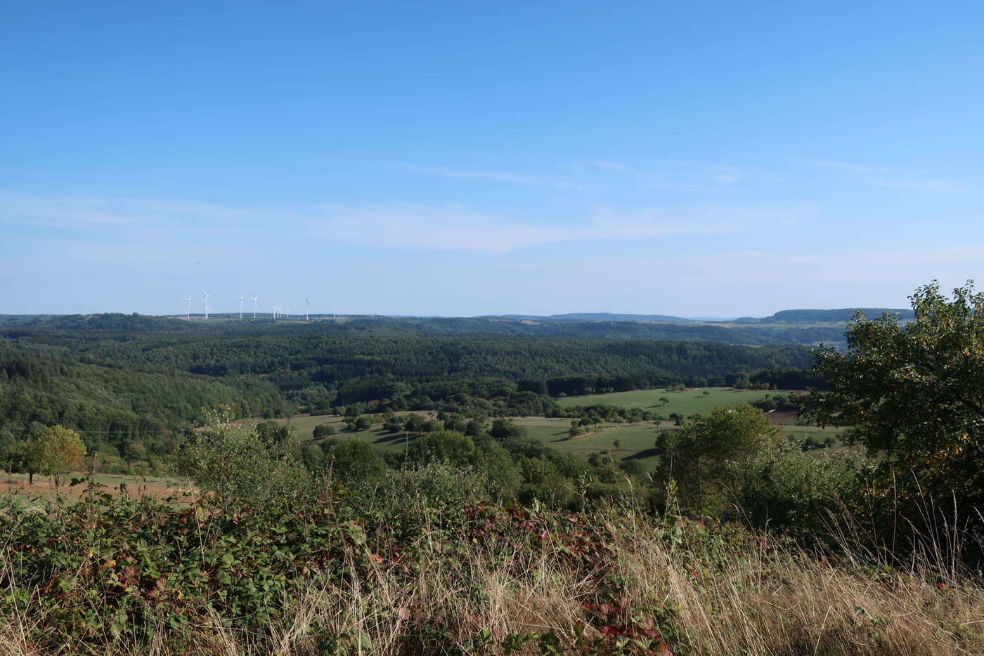 Weiter Blick über die bewaldeten Höhenzüge des Saargaus